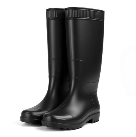 Botas de Moda
